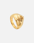 Vita Ring