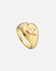 Anillo Halo Celestial