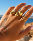 Anillo de deriva (ajustable)