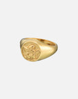 Anillo Halo Celestial
