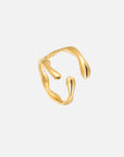 Anillo de deriva (ajustable)
